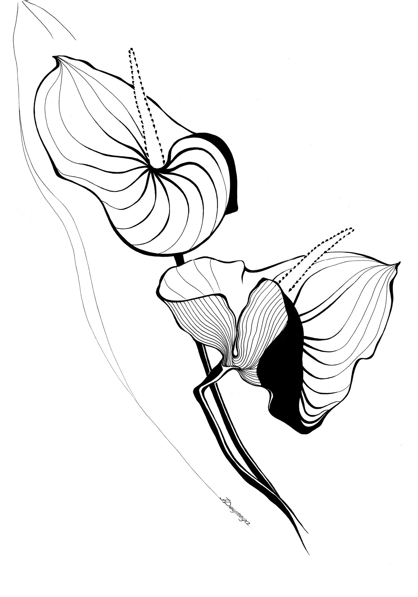 Die Blume II, Tusche (43x61cm)